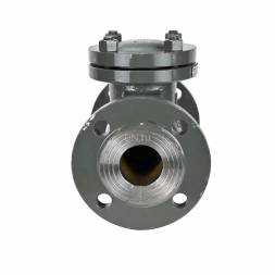 Клапан обратный 19с53нж VCT2121-F Ду50 Ру40 фланцевый, поворотный, корпус - низкоуглеродистая сталь, затвор - низкоуглеродистая сталь