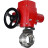 Затвор дисковый поворотный WBV3131E-2W-T-H Ду25 Ру10 резьбовой, корпус - пищевая нержавеющая сталь 304, уплотнение - EPDM, с электроприводом QT-EX-005M-O2-380VAC-У1 с моментной муфтой и штурвалом