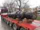 Поковка 620 мм 09Г2С ГОСТ 7505-89 круглая