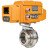 Затвор дисковый поворотный WBV3131S-2W-T-H Ду20 Ру10 резьбовой, корпус - пищевая нержавеющая сталь 304, уплотнение - Silicon, с электроприводом QT-N-005EM-A1-220VAC-У1 c датчиком обратной связи и входным управляющим сигналом 4-20мА HARK